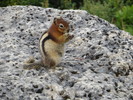 photo thumbnail #15