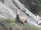 photo thumbnail #14