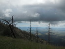 photo thumbnail #2
