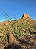 photo thumbnail #8