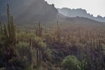 photo thumbnail #10