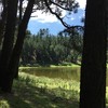 photo thumbnail #11