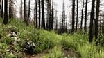 photo thumbnail #1