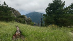 photo thumbnail #3