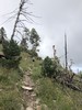 photo thumbnail #2