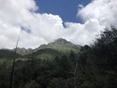 photo thumbnail #10