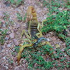 photo thumbnail #3