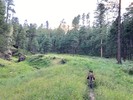 photo thumbnail #5