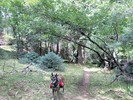 photo thumbnail #10
