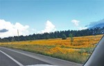 photo thumbnail #2