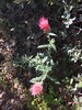 photo thumbnail #15