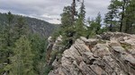 photo thumbnail #2