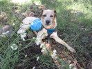 photo thumbnail #10