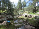 photo thumbnail #12