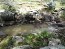 photo thumbnail #14
