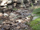 photo thumbnail #15