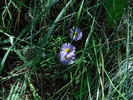 photo thumbnail #15