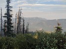 photo thumbnail #5