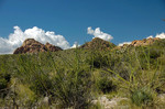 photo thumbnail #10