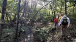 photo thumbnail #1
