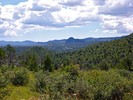 2018-09-07 :1: Javelina Trail #332 :: kingsnake