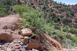 photo thumbnail #5
