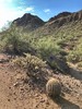 photo thumbnail #14