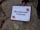photo thumbnail #6