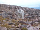 photo thumbnail #7