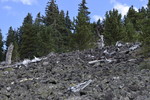 photo thumbnail #5