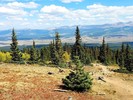 photo thumbnail #14