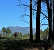 photo thumbnail #15
