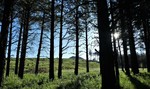photo thumbnail #8