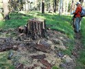 photo thumbnail #5