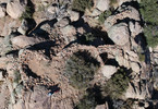 photo thumbnail #5