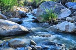 photo thumbnail #4