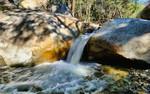 photo thumbnail #11