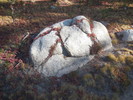 photo thumbnail #1