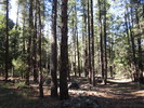 photo thumbnail #10