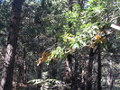 photo thumbnail #12