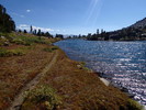photo thumbnail #5