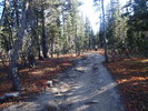 photo thumbnail #1