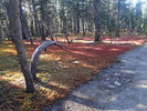 photo thumbnail #2