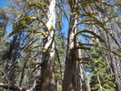 photo thumbnail #11