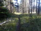 photo thumbnail #7