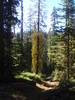 photo thumbnail #9