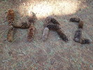 photo thumbnail #11