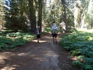photo thumbnail #2