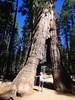 photo thumbnail #14