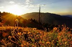 photo thumbnail #4